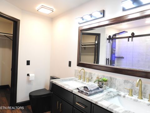 Tiny photo for 254 Karen Drive, Spring City, TN 37381 (MLS # 1329881)