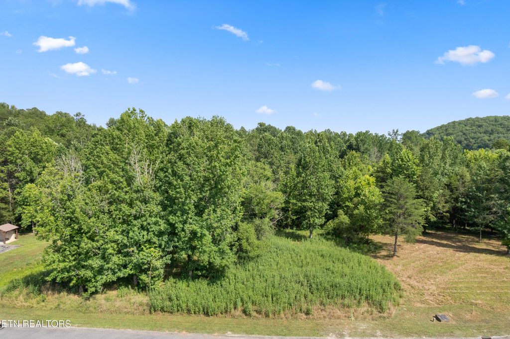 Photo of Lot 72 Creekside Drive, Harriman, TN 37748 (MLS # 1309965)