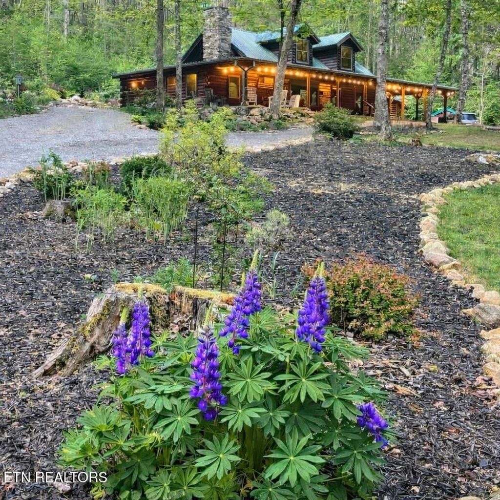 Photo of 480 Holder Cemetery Rd, Tellico Plains, TN 37385 (MLS # 1339698)