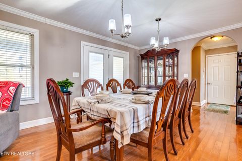 Tiny photo for 107 River Rd, Jacksboro, TN 37757 (MLS # 1327244)