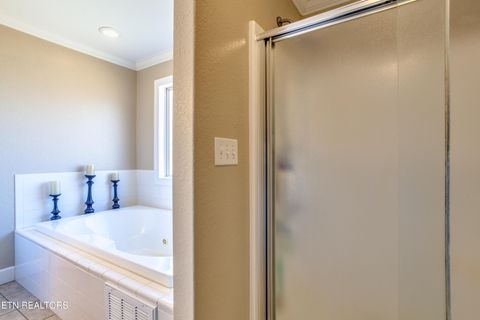 Tiny photo for 107 River Rd, Jacksboro, TN 37757 (MLS # 1327244)