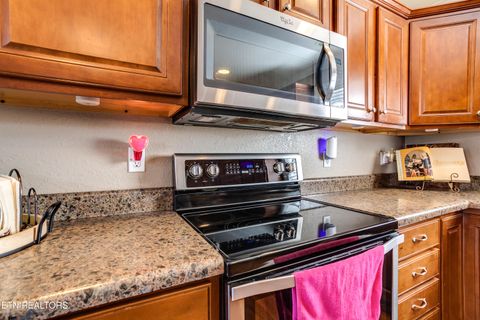 Tiny photo for 107 River Rd, Jacksboro, TN 37757 (MLS # 1327244)