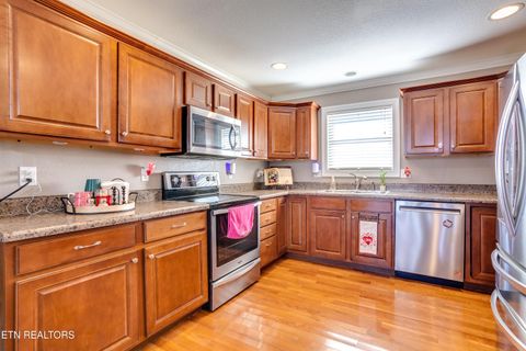 Tiny photo for 107 River Rd, Jacksboro, TN 37757 (MLS # 1327244)