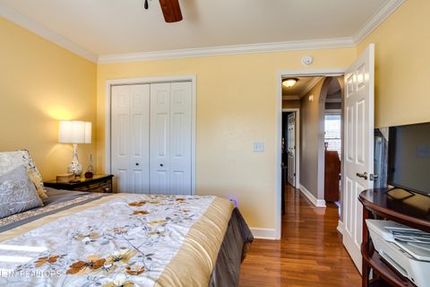 Tiny photo for 107 River Rd, Jacksboro, TN 37757 (MLS # 1327244)