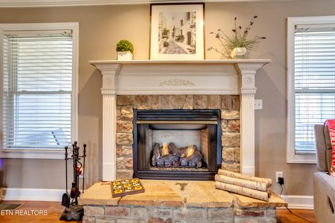 Tiny photo for 107 River Rd, Jacksboro, TN 37757 (MLS # 1327244)