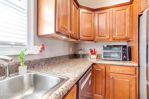 Tiny photo for 107 River Rd, Jacksboro, TN 37757 (MLS # 1327244)