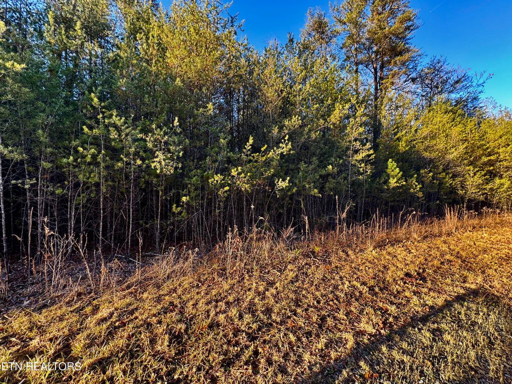 Photo of George Drive, Deer Lodge, TN 37726 (MLS # 1324758)