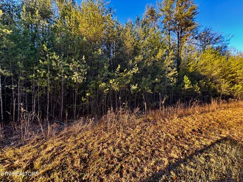 Tiny photo for George Drive, Deer Lodge, TN 37726 (MLS # 1324758)