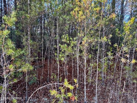 Tiny photo for George Drive, Deer Lodge, TN 37726 (MLS # 1324758)