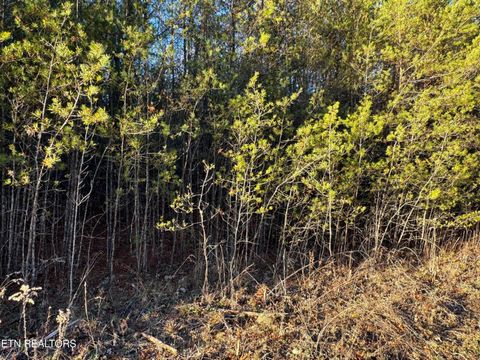Photo of George Drive, Deer Lodge, TN 37726 (MLS # 1324758)