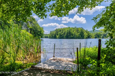 Tiny photo for Sandy Stand Rd, Tallassee, TN 37878 (MLS # 1327548)