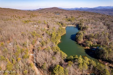 Tiny photo for Sandy Stand Rd, Tallassee, TN 37878 (MLS # 1327548)