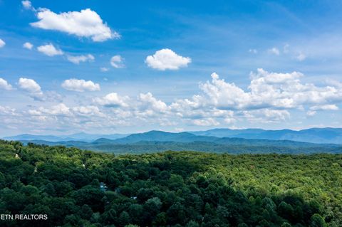 Tiny photo for Sandy Stand Rd, Tallassee, TN 37878 (MLS # 1327548)