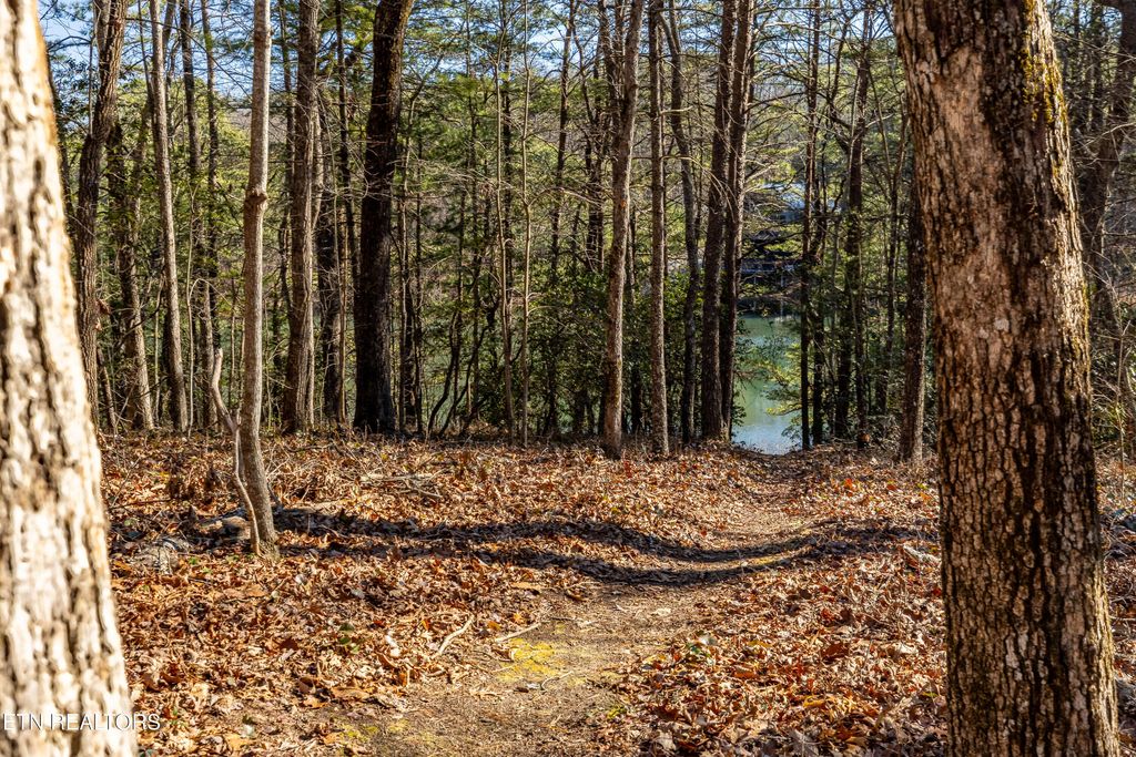 Photo of Sandy Stand Rd, Tallassee, TN 37878 (MLS # 1327548)