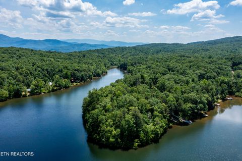 Tiny photo for Sandy Stand Rd, Tallassee, TN 37878 (MLS # 1327548)