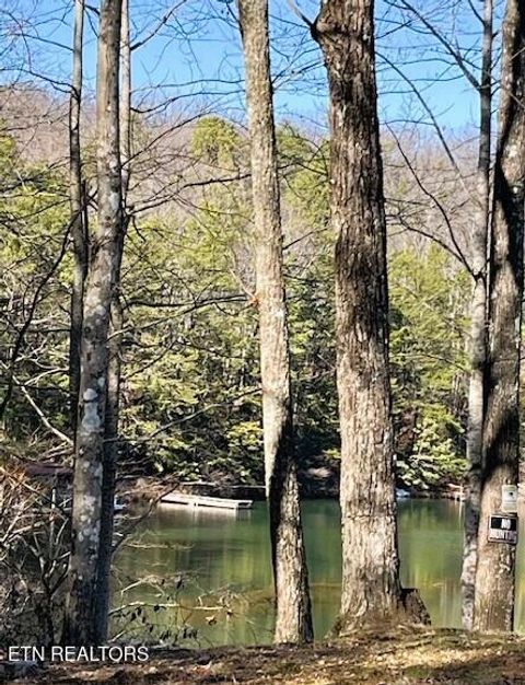 Tiny photo for Sandy Stand Rd, Tallassee, TN 37878 (MLS # 1327548)