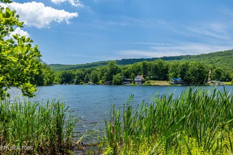 Tiny photo for Sandy Stand Rd, Tallassee, TN 37878 (MLS # 1327548)