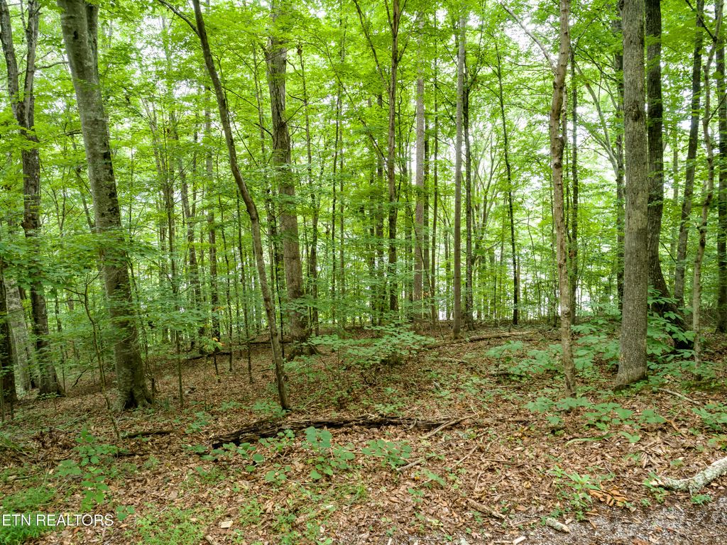 Photo of 17 Tumbling Run Rd, Maynardville, TN 37807 (MLS # 1310886)