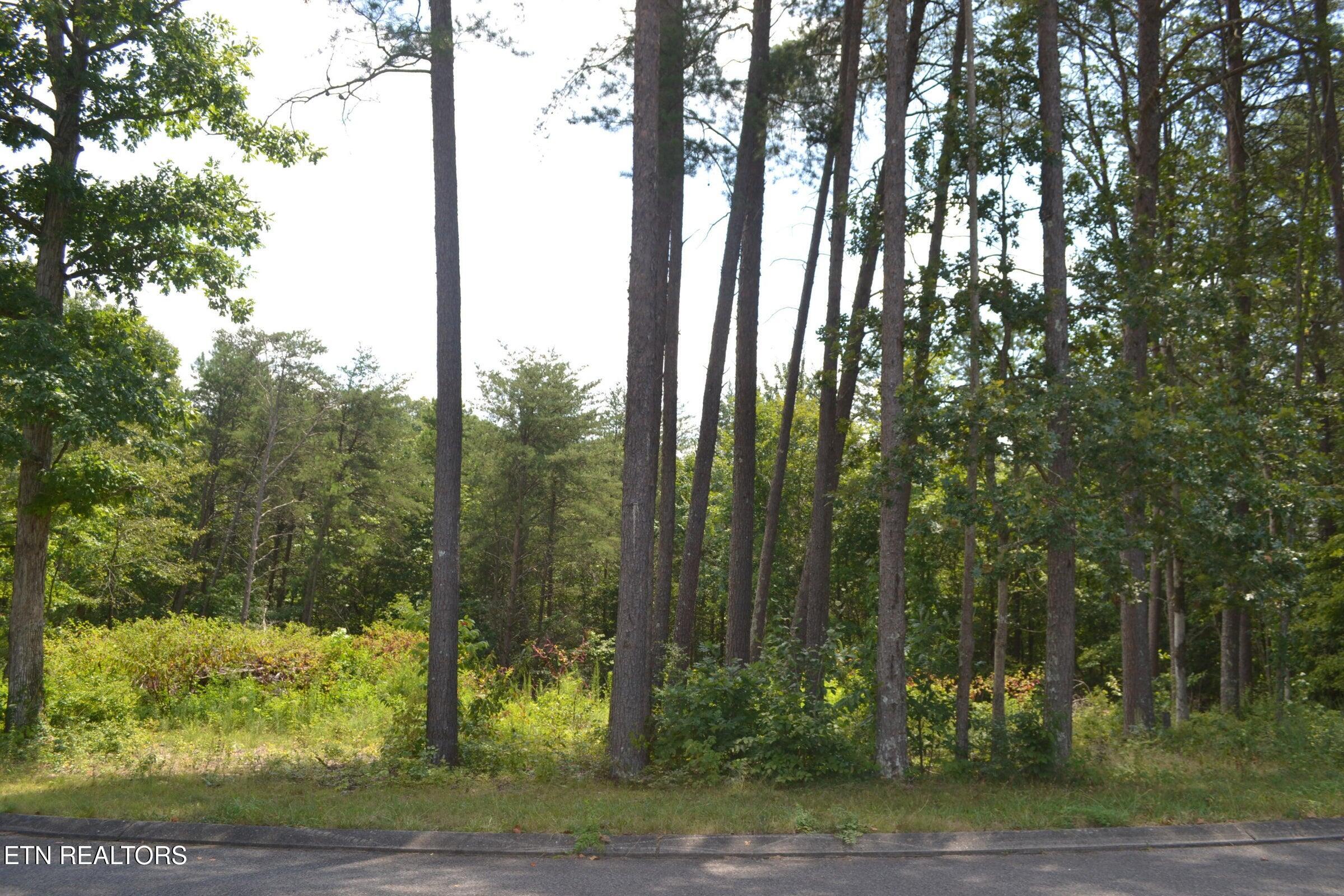 0 Countryside Drive