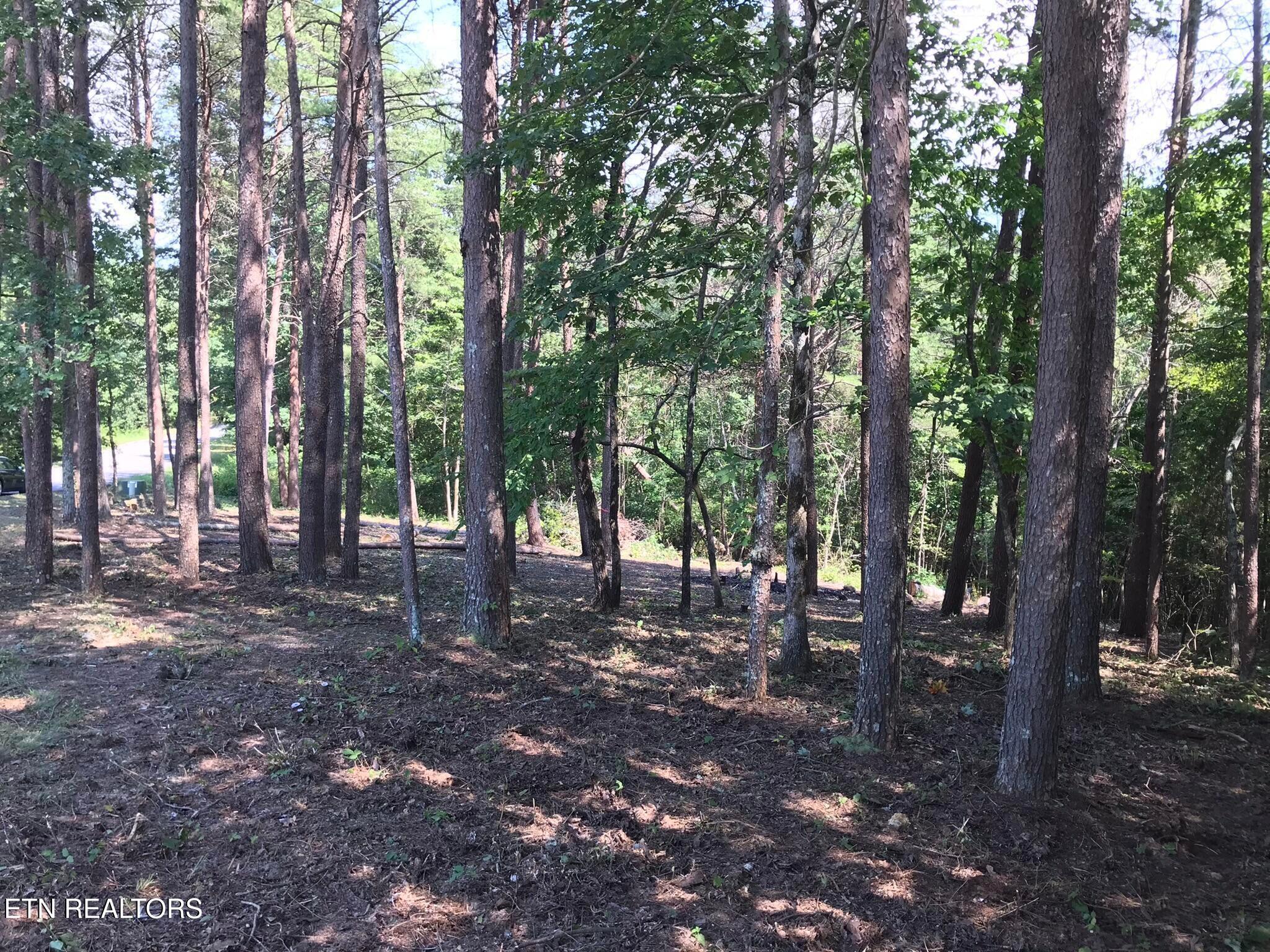 0 Countryside Drive