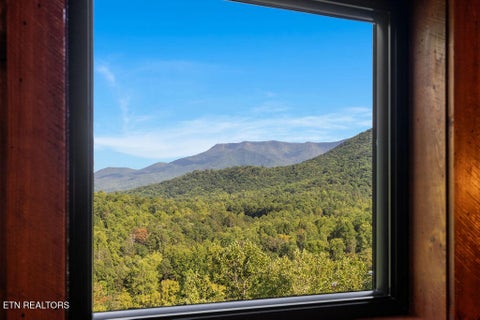 Tiny photo for 2661 Switch Back Way, Cosby, TN 37722 (MLS # 1355700)