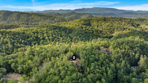 Tiny photo for 2661 Switch Back Way, Cosby, TN 37722 (MLS # 1355700)