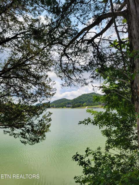 Tiny photo for Bay View Point, Sevierville, TN 37876 (MLS # 1349955)