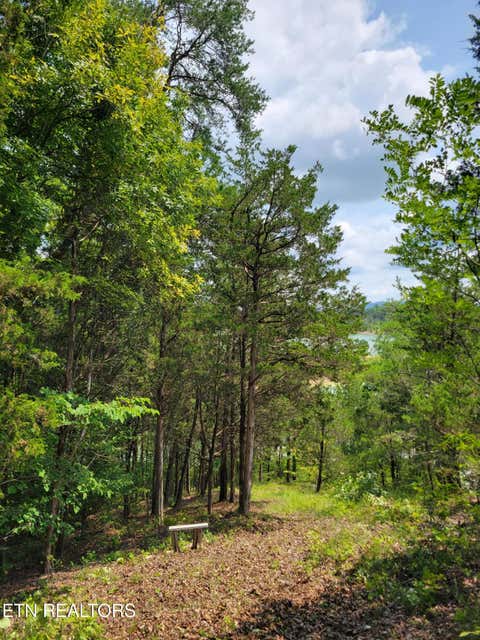 Tiny photo for Bay View Point, Sevierville, TN 37876 (MLS # 1349955)