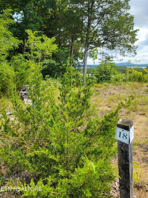 Tiny photo for Bay View Point, Sevierville, TN 37876 (MLS # 1349955)