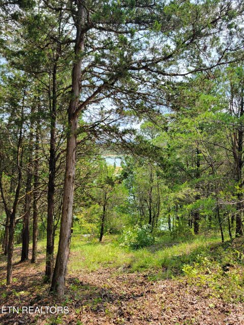 Tiny photo for Bay View Point, Sevierville, TN 37876 (MLS # 1349955)