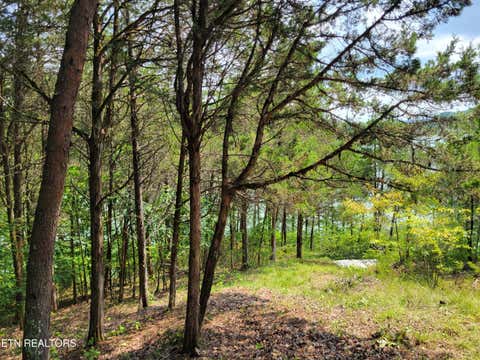 Tiny photo for Bay View Point, Sevierville, TN 37876 (MLS # 1349955)