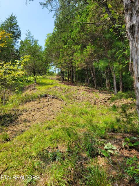 Tiny photo for Bay View Point, Sevierville, TN 37876 (MLS # 1349955)