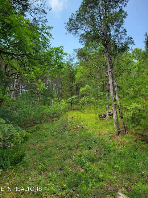 Tiny photo for Bay View Point, Sevierville, TN 37876 (MLS # 1349955)