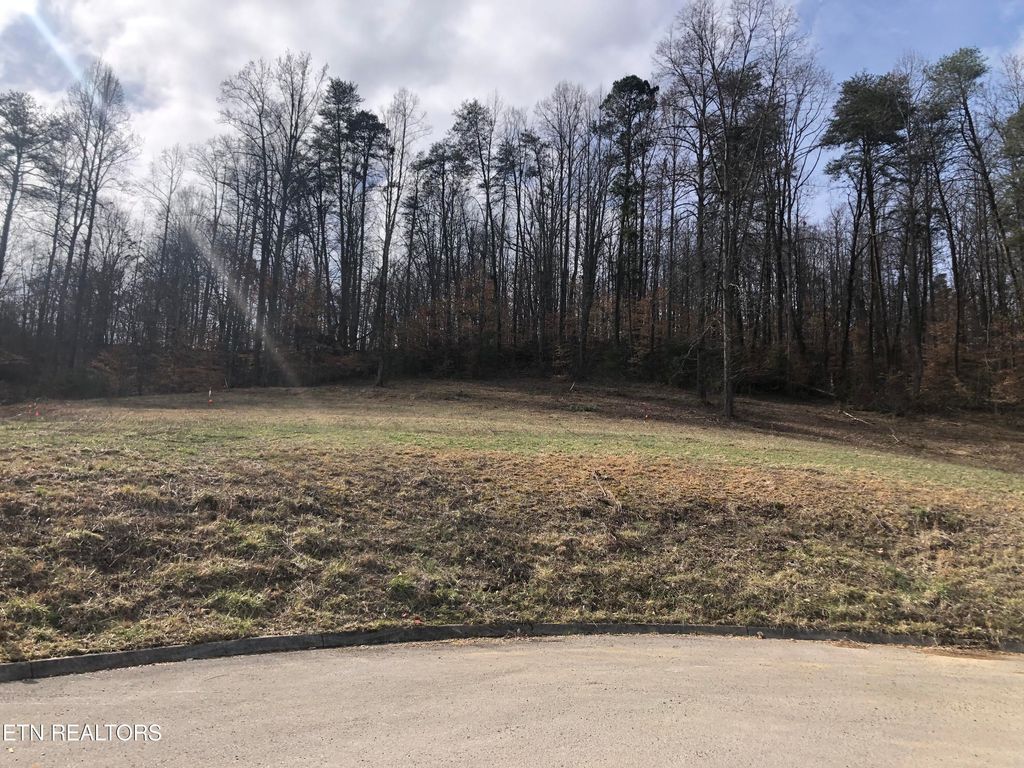 Photo of 7 Briar Ridge Lane, Strawberry Plains, TN 37871 (MLS # 1253410)