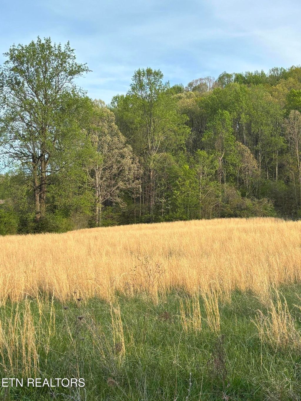 Photo of 0 Rhea Rd, Knoxville, TN 37920 (MLS # 1335941)