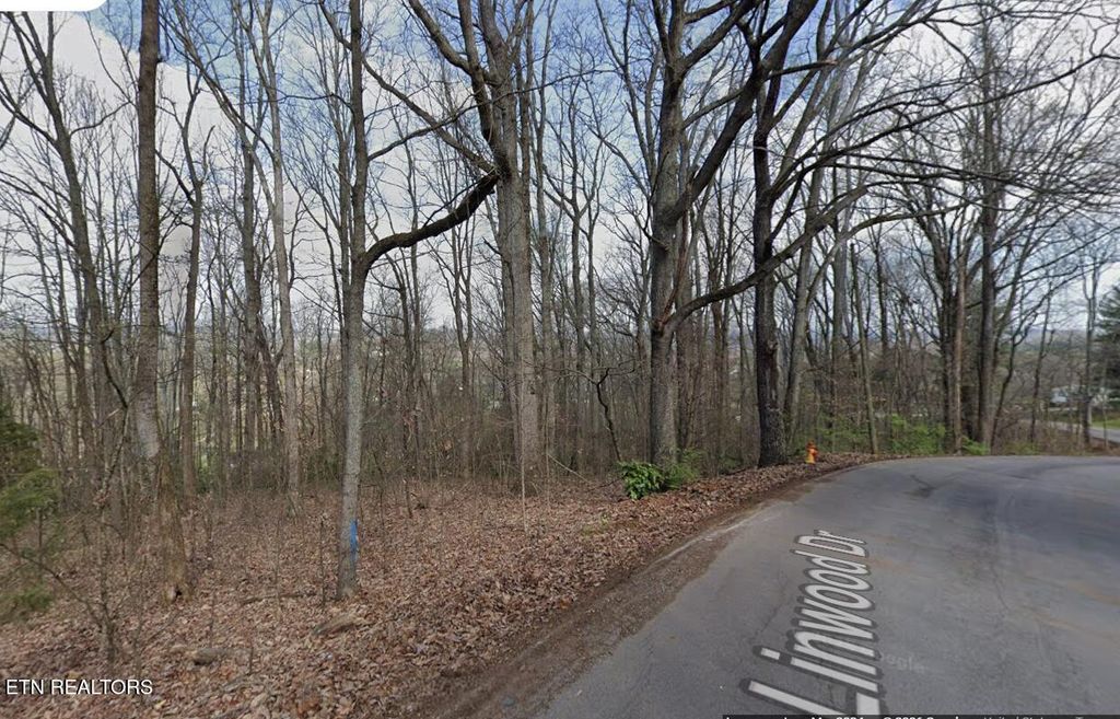 Photo of 136 Linwood Drive, Sweetwater, TN 37874 (MLS # 1341641)