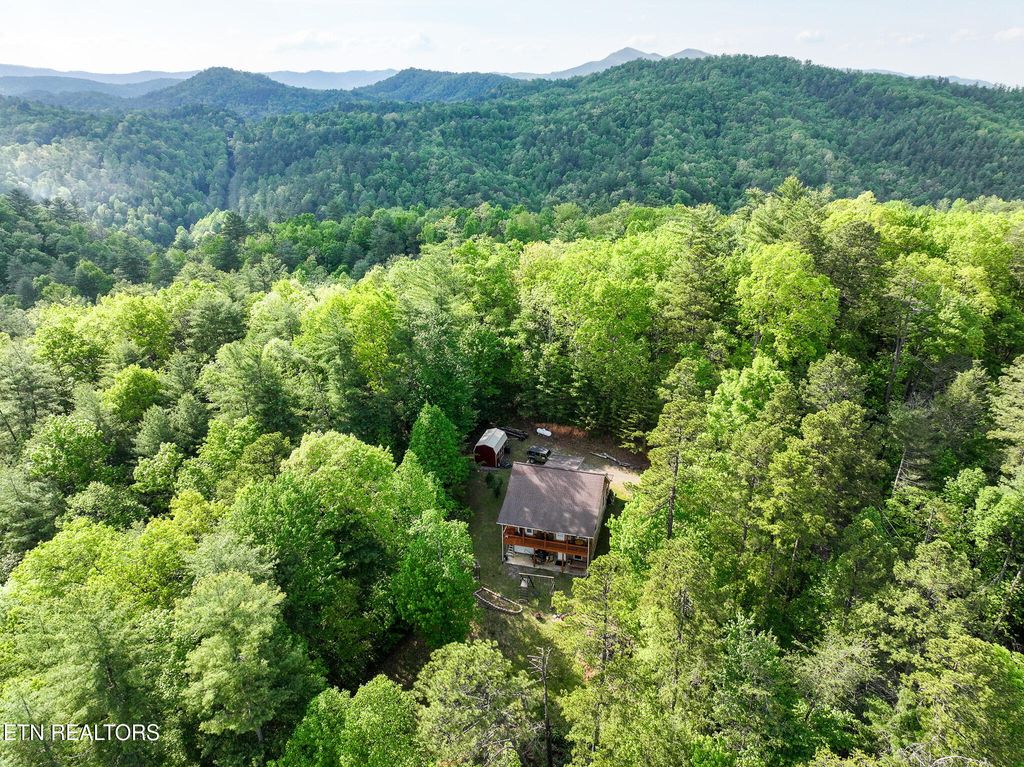 Photo of 978 Corey Way, Del Rio, TN 37727 (MLS # 1299009)