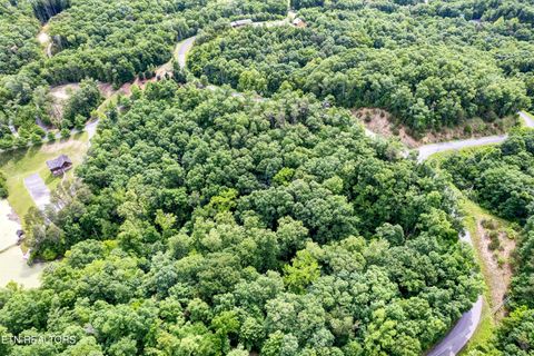Tiny photo for Tranquility Tr, Dandridge, TN 37725 (MLS # 1323329)