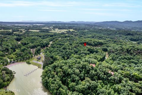 Tiny photo for Tranquility Tr, Dandridge, TN 37725 (MLS # 1323329)