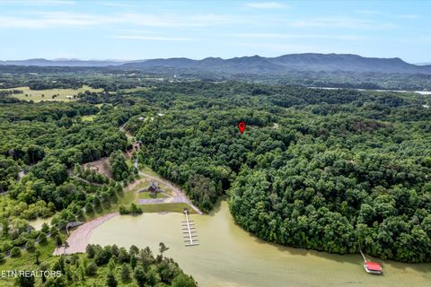 Tiny photo for Tranquility Tr, Dandridge, TN 37725 (MLS # 1323329)