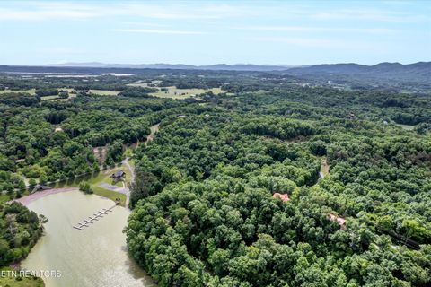 Tiny photo for Tranquility Tr, Dandridge, TN 37725 (MLS # 1323329)