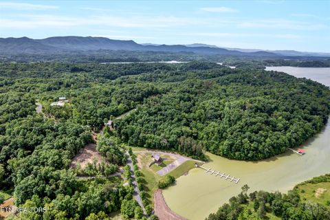 Tiny photo for Tranquility Tr, Dandridge, TN 37725 (MLS # 1323329)