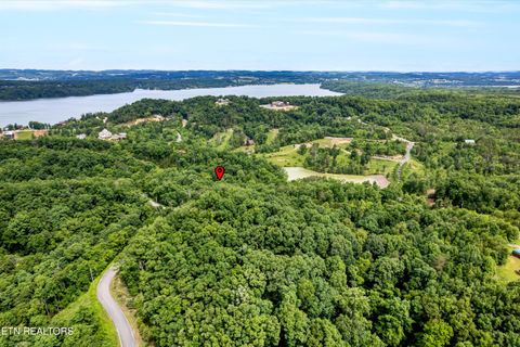 Tiny photo for Tranquility Tr, Dandridge, TN 37725 (MLS # 1323329)