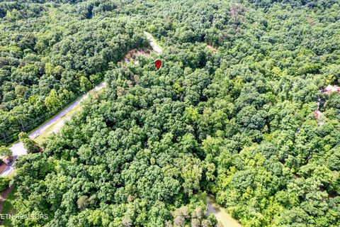 Tiny photo for Tranquility Tr, Dandridge, TN 37725 (MLS # 1323329)