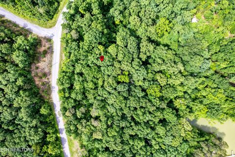 Tiny photo for Tranquility Tr, Dandridge, TN 37725 (MLS # 1323329)