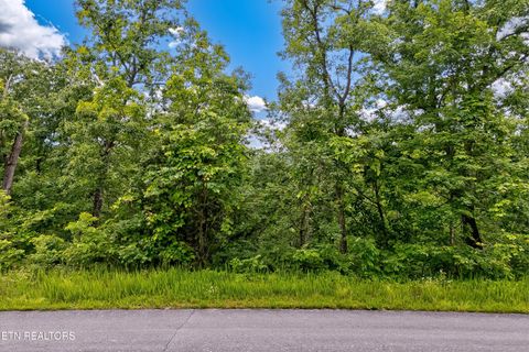 Tiny photo for Tranquility Tr, Dandridge, TN 37725 (MLS # 1323329)