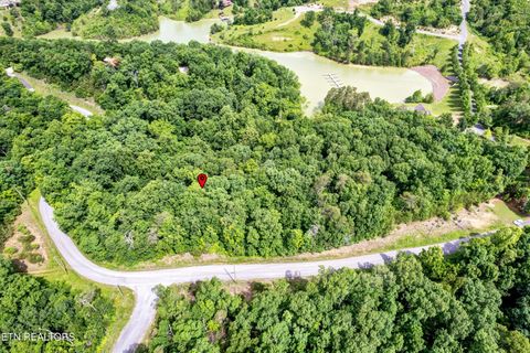 Tiny photo for Tranquility Tr, Dandridge, TN 37725 (MLS # 1323329)