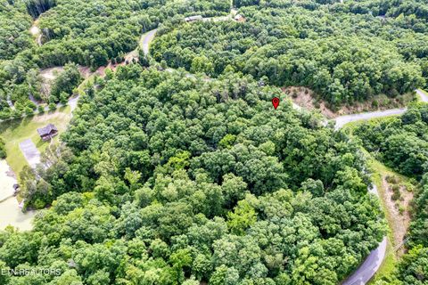 Tiny photo for Tranquility Tr, Dandridge, TN 37725 (MLS # 1323329)