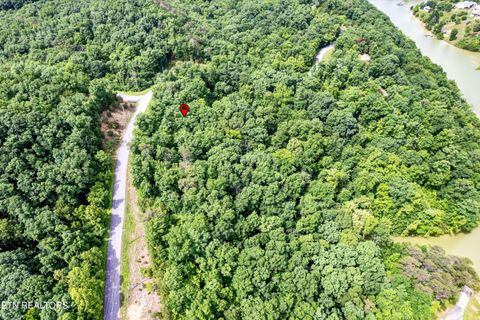 Tiny photo for Tranquility Tr, Dandridge, TN 37725 (MLS # 1323329)