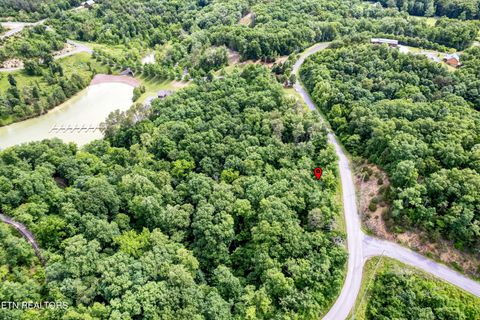 Tiny photo for Tranquility Tr, Dandridge, TN 37725 (MLS # 1323329)